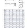 Труба PP-MD с раструбом бесшумная Silent-PP Дн 90х3,1 L=0,25м в/к Geberit 390.401.14.1, миниатюра — 1