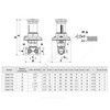 Клапан балансировочный автомат латунь R206C Ду 15 Rp1/2" Ру16 ВР 5-60 кПа Kvs=2.24м3/ч без ниппелей Giacomini R206CY103 — 2